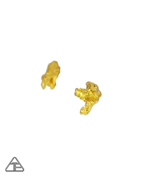 Studs: Alaskan Yellow Gold Nugget Earrings