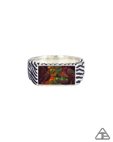 Wild Coat: Fire Agate Signet Ring Size 9.5